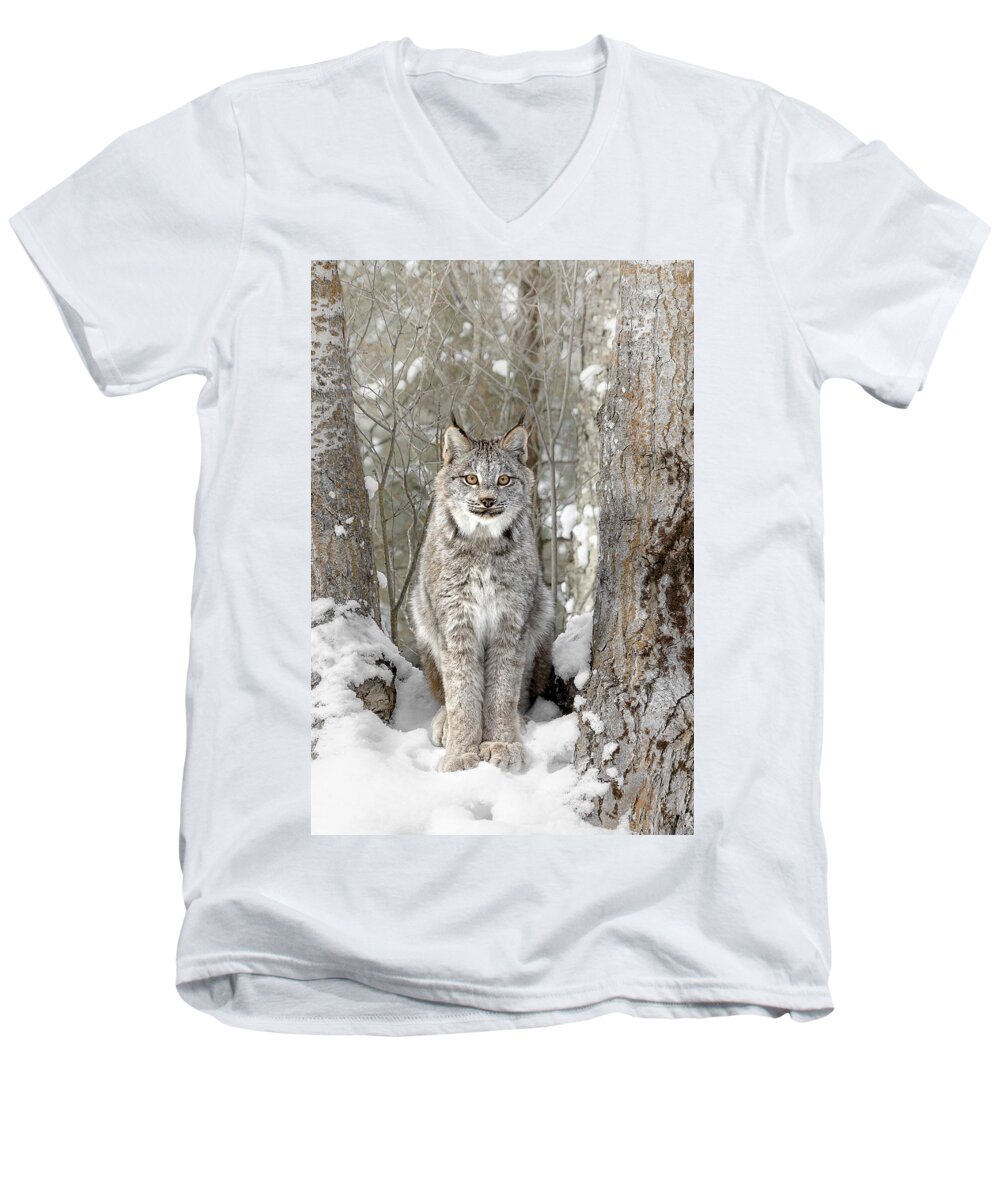 Canadian Wilderness Lynx Men's V-Neck T-Shirt featuring the photograph Canadian Wilderness Lynx by Wes and Dotty Weber