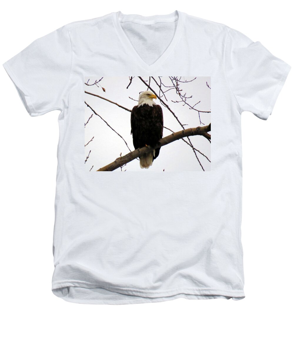 1000 Islands Men's V-Neck T-Shirt featuring the photograph Cape Eagle by Dennis McCarthy