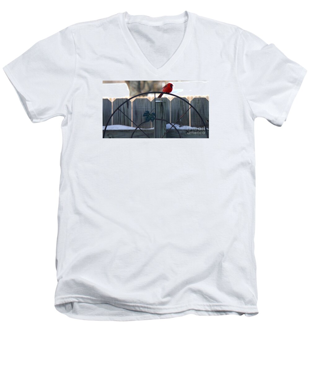 Cardinal Men's V-Neck T-Shirt featuring the photograph Cardinal 3 by Sheri Simmons