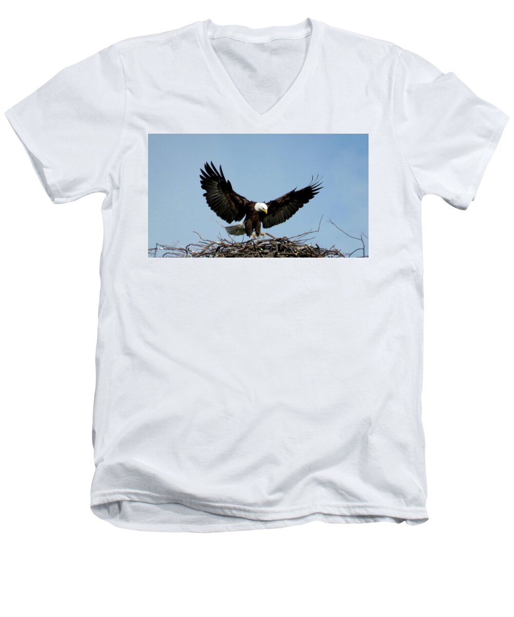 1000 Islands Men's V-Neck T-Shirt featuring the photograph Cape Vincent Eagle by Dennis McCarthy