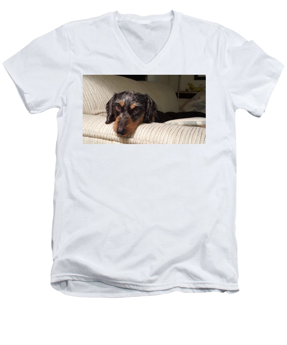 Dog Men's V-Neck T-Shirt featuring the photograph Cassie by Judy Wanamaker
