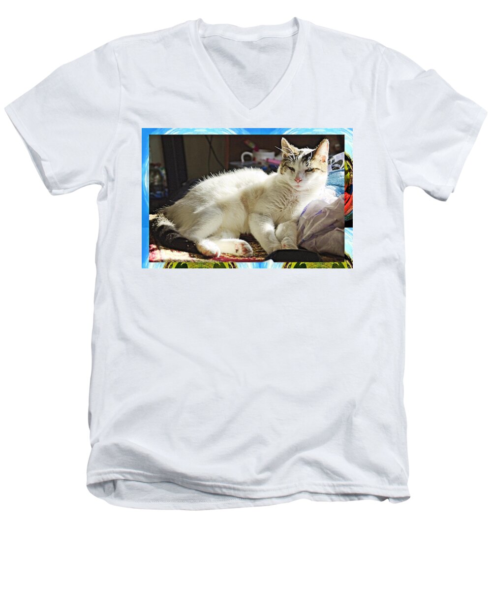 Cats Men's V-Neck T-Shirt featuring the photograph Cat 4 by Karl Rose