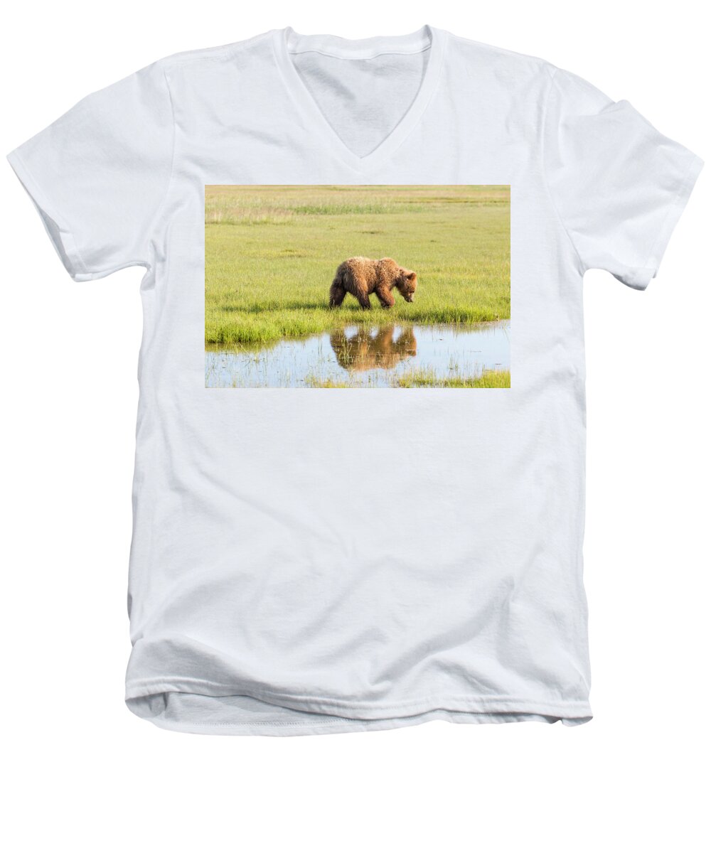 Cub Men's V-Neck T-Shirt featuring the photograph Cub Reflection by Mark Harrington