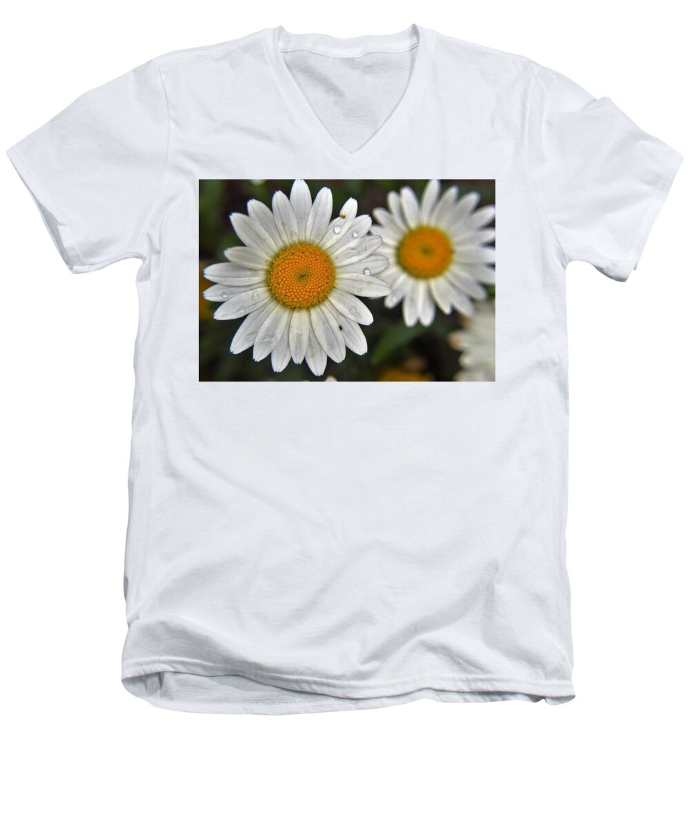 Flowers Men's V-Neck T-Shirt featuring the photograph Daisy Dew by Charles HALL