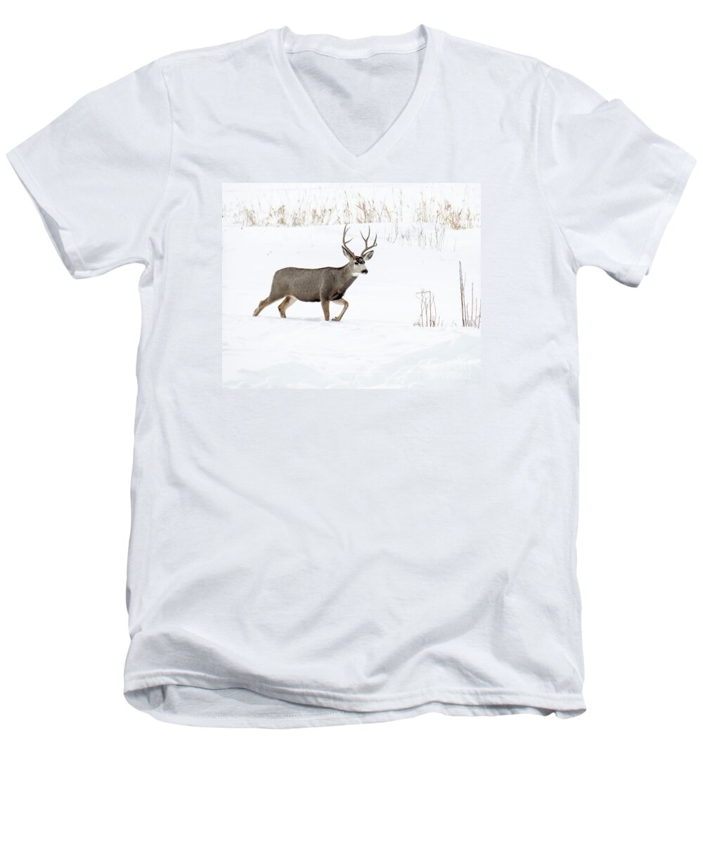 Deer Men's V-Neck T-Shirt featuring the photograph Deer in the snow by Rebecca Margraf
