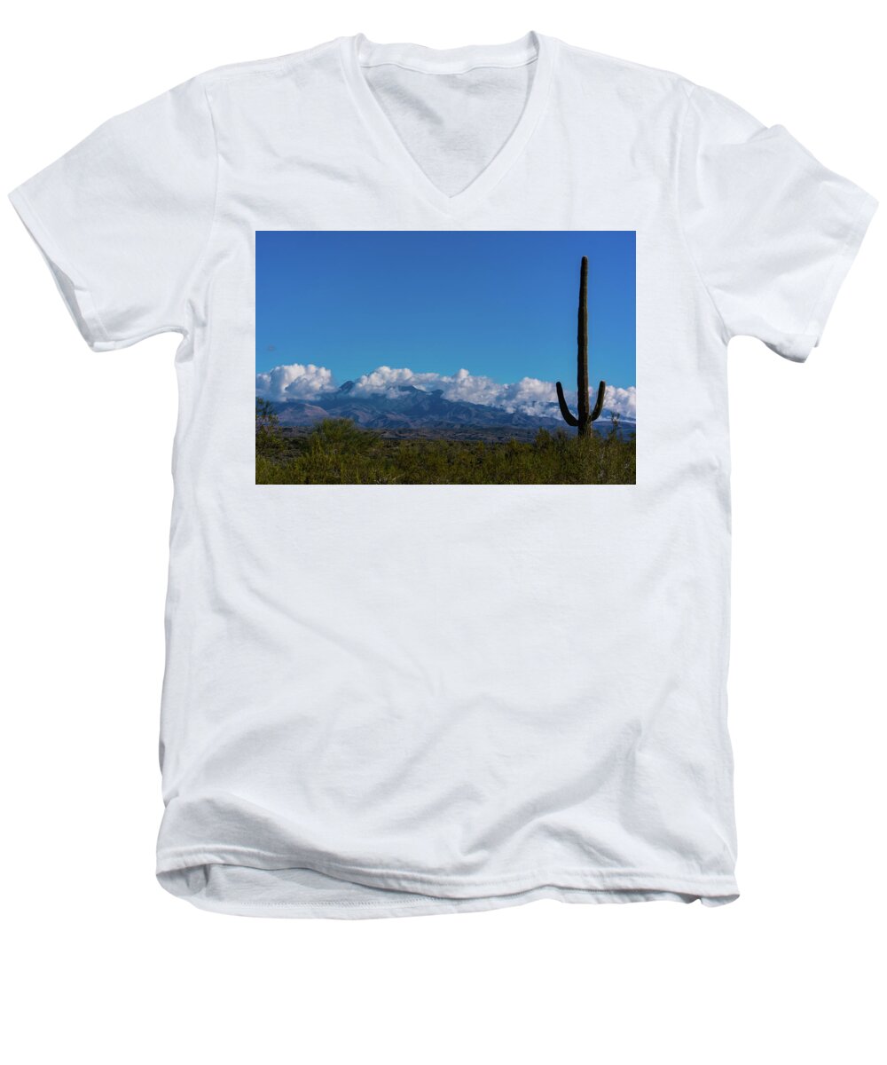 Desert Men's V-Neck T-Shirt featuring the photograph Desert Inversion Cactus by Douglas Killourie