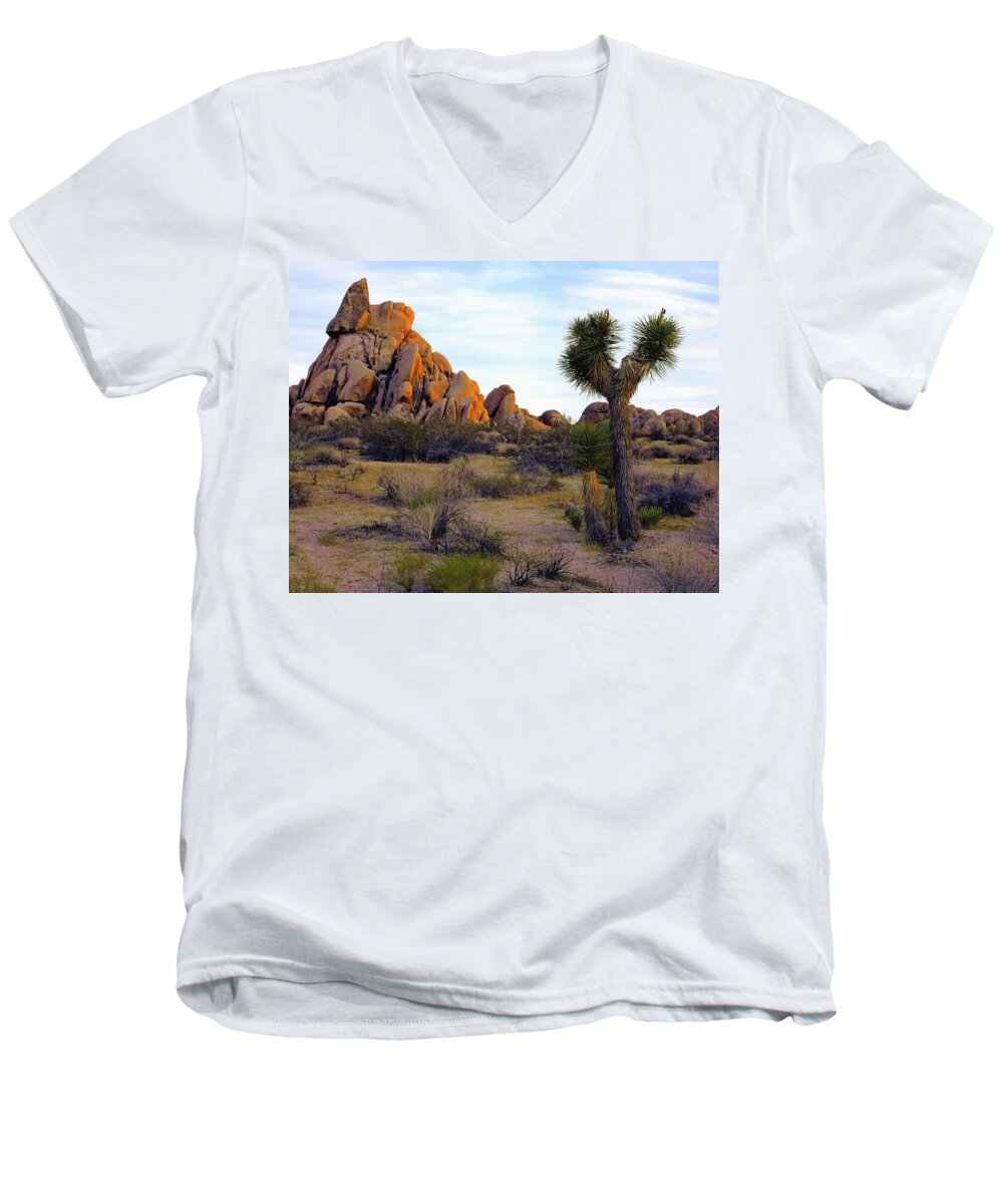 Landscape Men's V-Neck T-Shirt featuring the photograph Desert Soft Light by Paul Breitkreuz