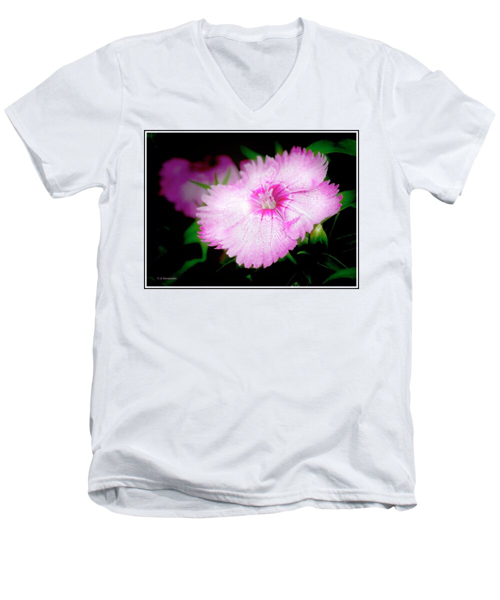Dianthus Men's V-Neck T-Shirt featuring the photograph Dianthus Flower by A Macarthur Gurmankin