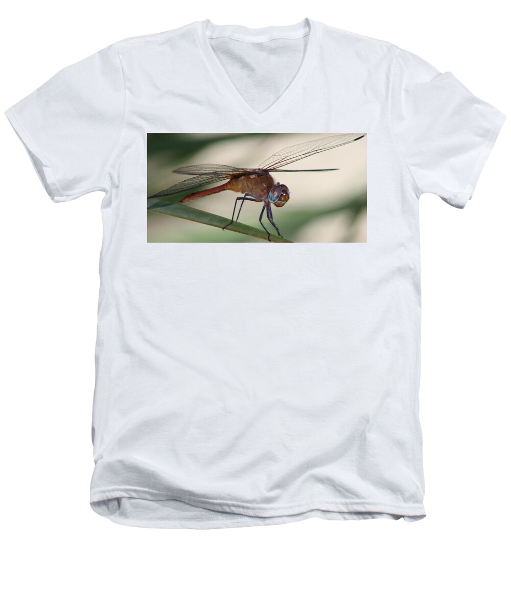 Dragonfly Men's V-Neck T-Shirt featuring the photograph Dragonfly by Colleen Cornelius