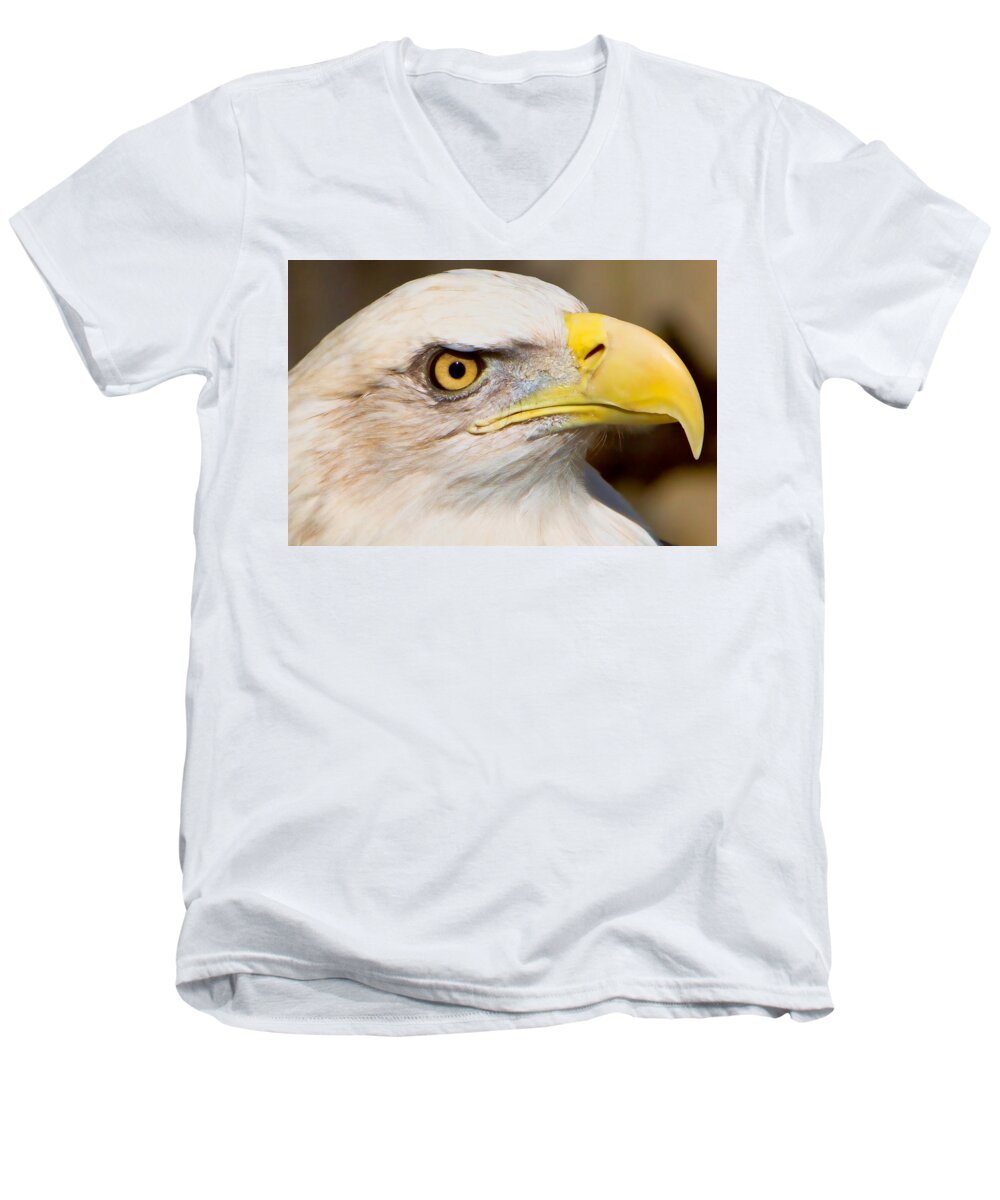 American Eagle Men's V-Neck T-Shirt featuring the photograph Eagle Eye by William Jobes