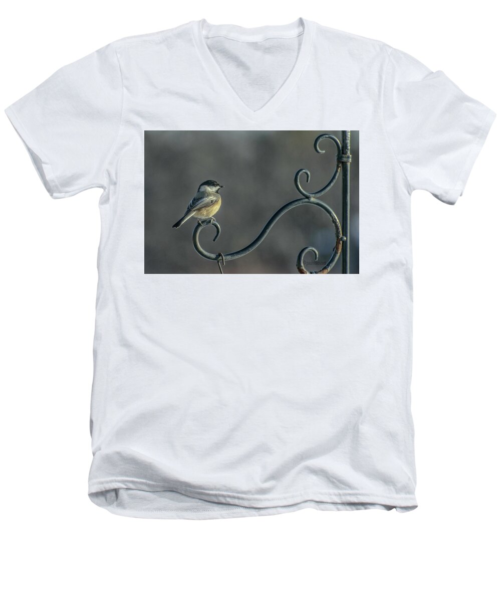  Men's V-Neck T-Shirt featuring the photograph Early Morning At The Feeder by Paul Vitko