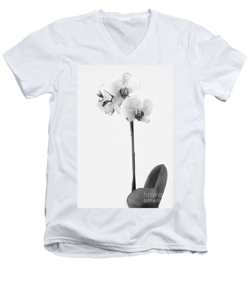 Flowers Men's V-Neck T-Shirt featuring the photograph Elegant Orchid II by Anita Oakley