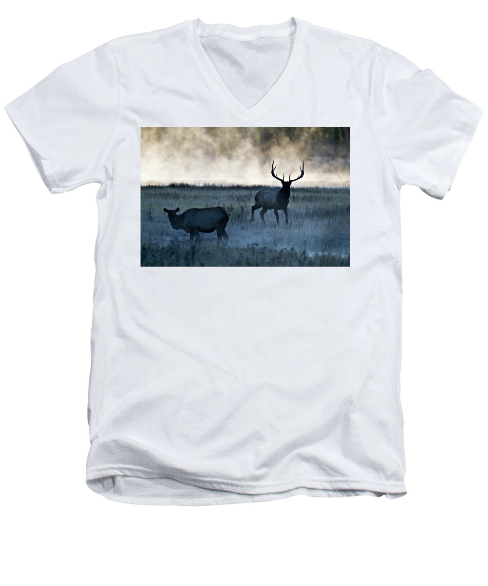 Elk Men's V-Neck T-Shirt featuring the photograph Elk in the Mist by Wesley Aston