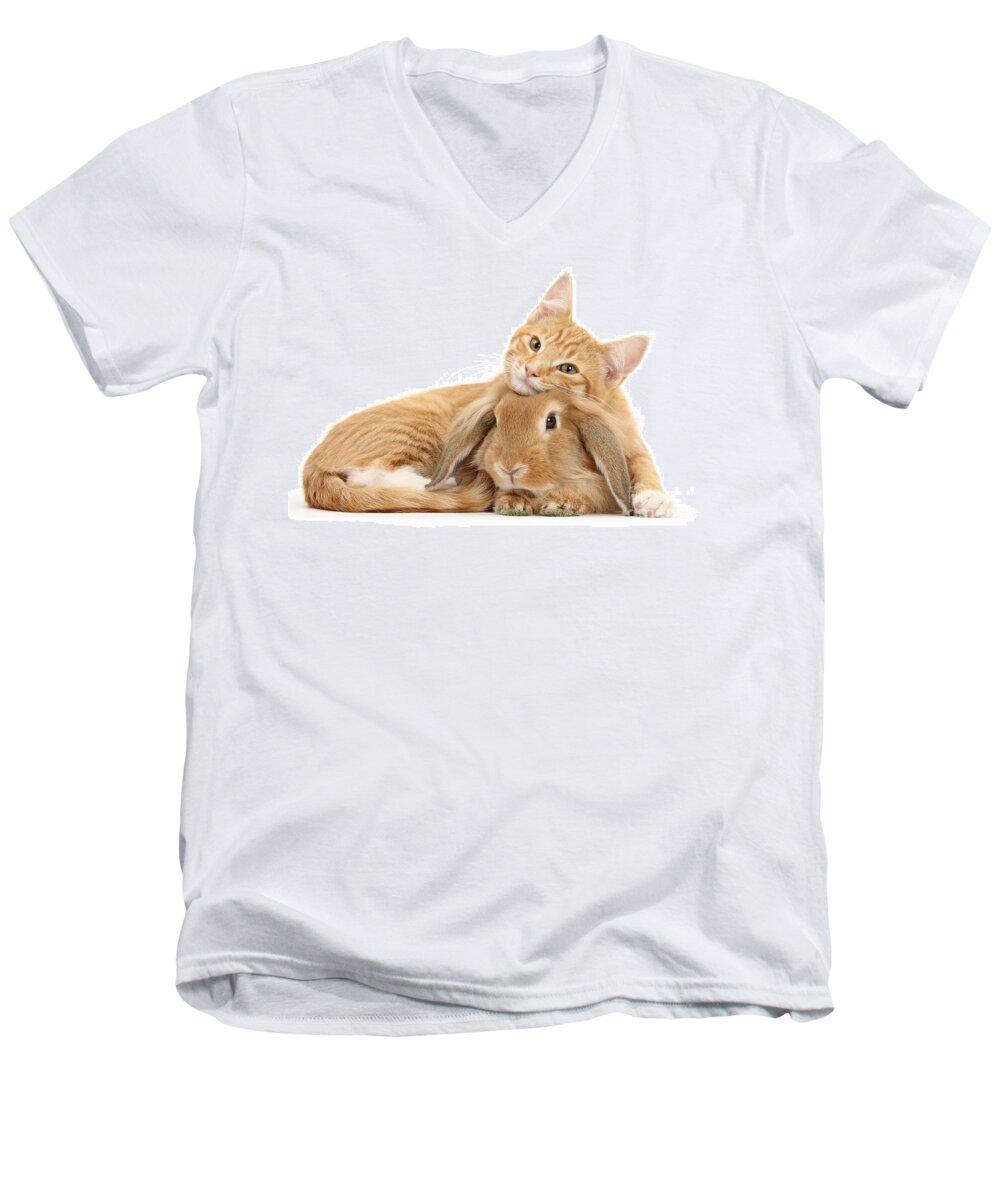 Sandy Lionhead Lop Men's V-Neck T-Shirt featuring the photograph Everybody needs a Bunny for a Pillow by Warren Photographic