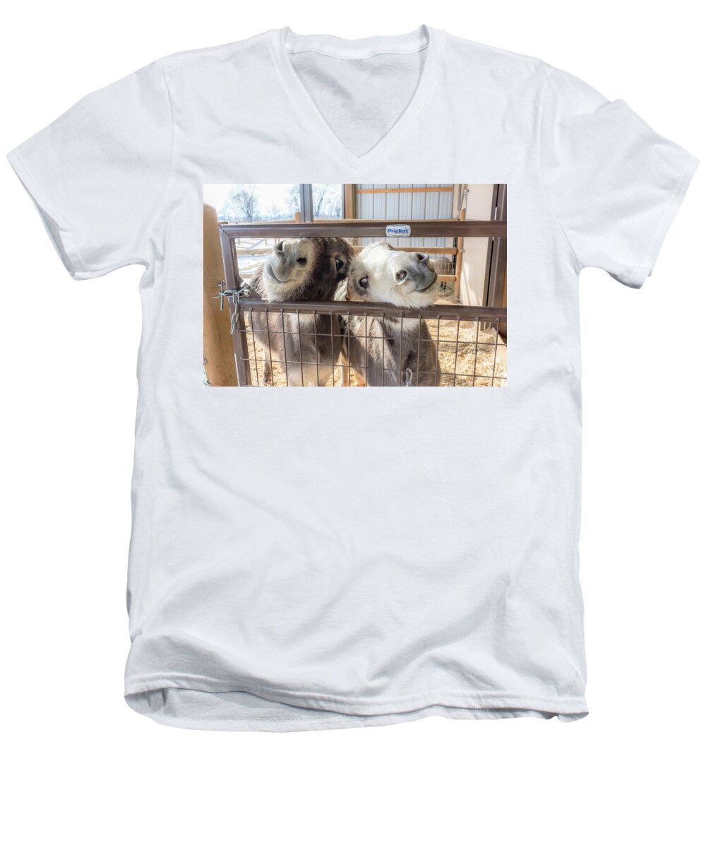 Donkey Men's V-Neck T-Shirt featuring the photograph Excited To See Me by Jennifer Grossnickle