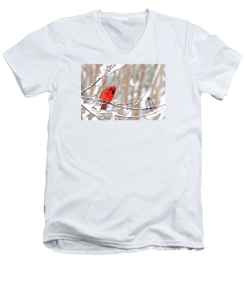 Birds Men's V-Neck T-Shirt featuring the photograph Feathered Friends by Trina Ansel