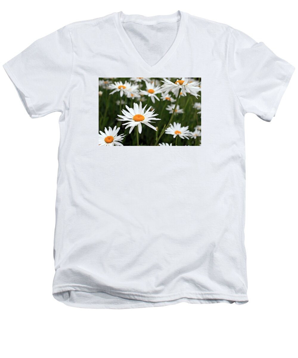 Fresh Men's V-Neck T-Shirt featuring the photograph Field of Daisies by Dorothy Cunningham