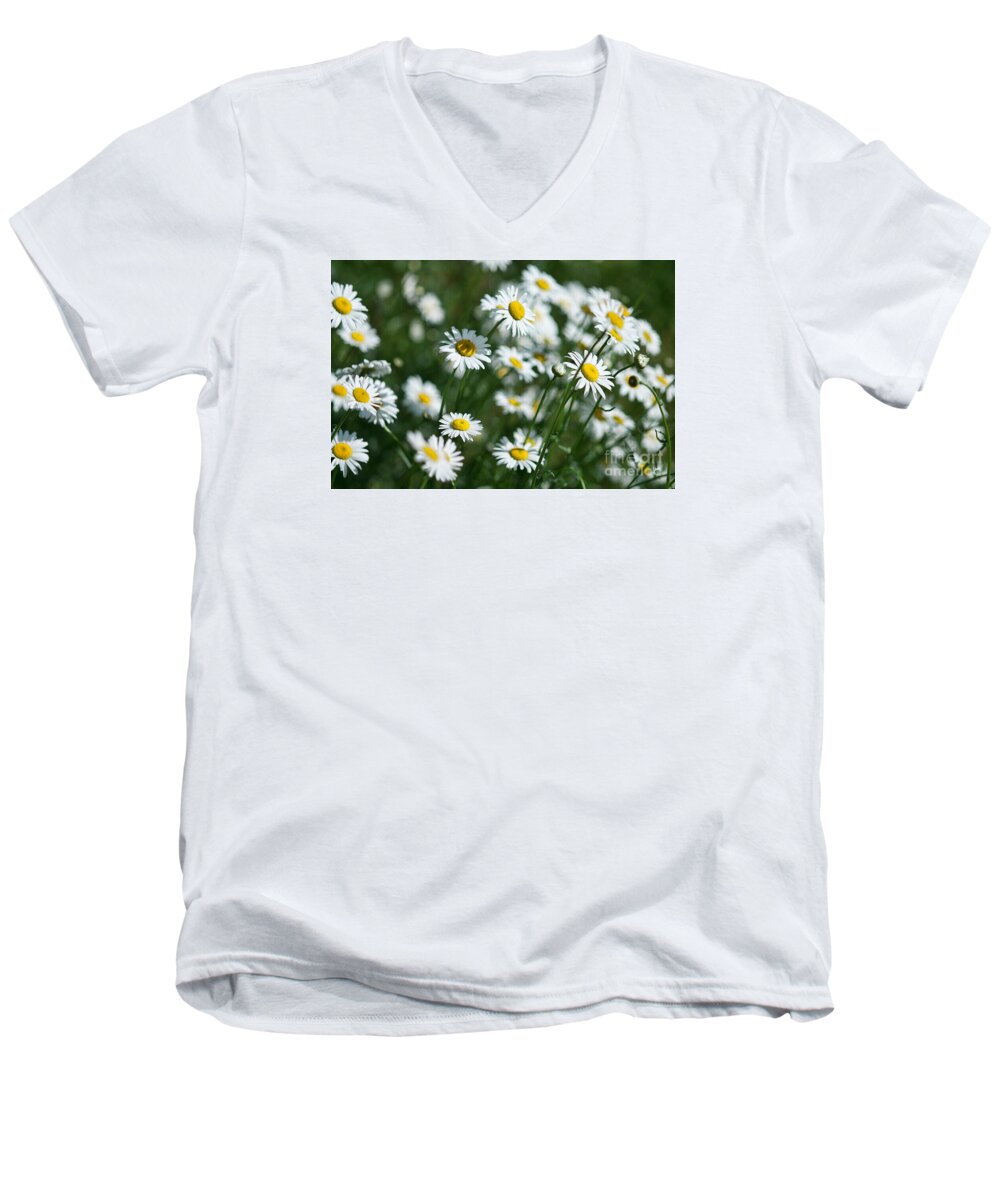 Field Of Daisy's Men's V-Neck T-Shirt featuring the photograph Field of Daisy's by Alana Ranney