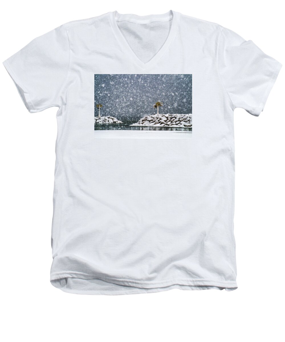 Winter Men's V-Neck T-Shirt featuring the photograph Flurried by Terry Doyle