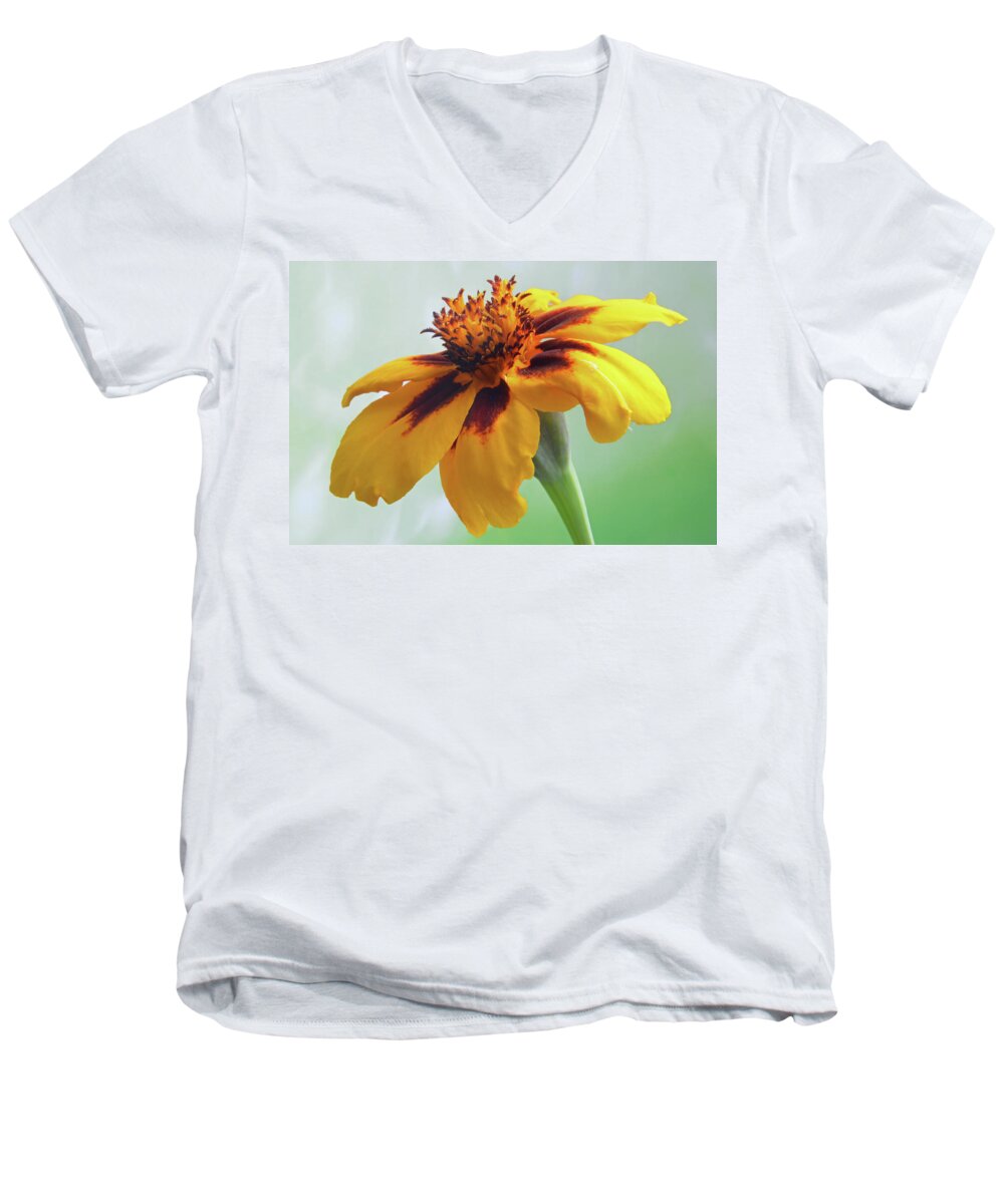 Marigold Men's V-Neck T-Shirt featuring the photograph French Marigold by Terence Davis