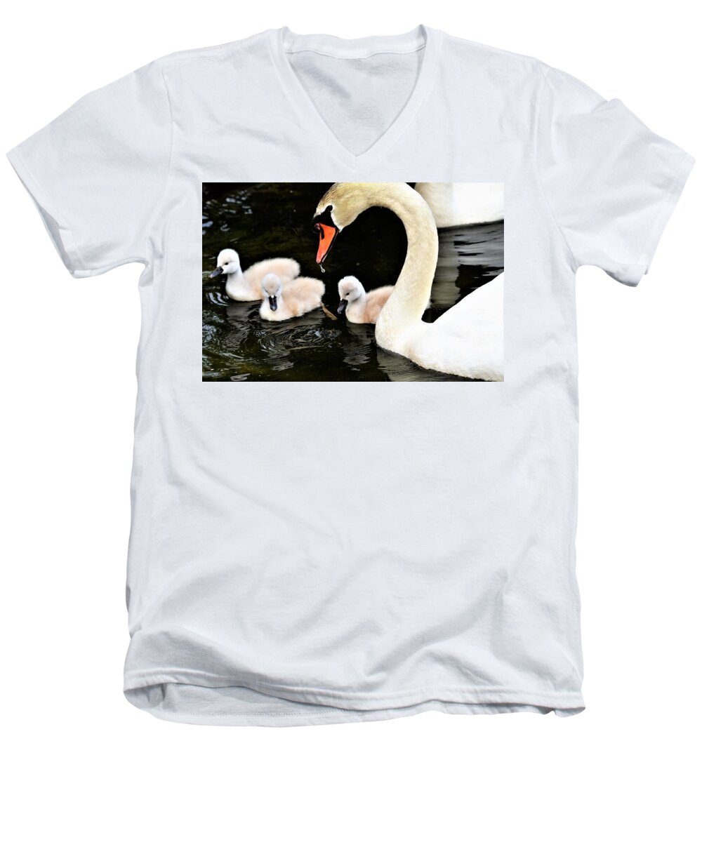 Swans Men's V-Neck T-Shirt featuring the photograph Good parenting by Chuck Brown