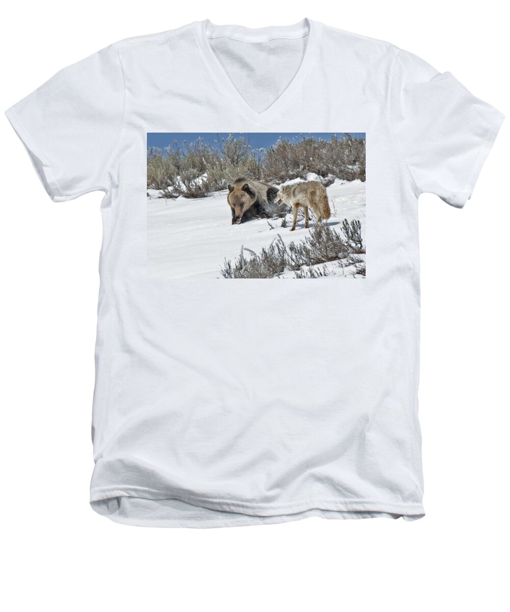 Grizzly Men's V-Neck T-Shirt featuring the photograph Grizzly With Coyote by Gary Beeler