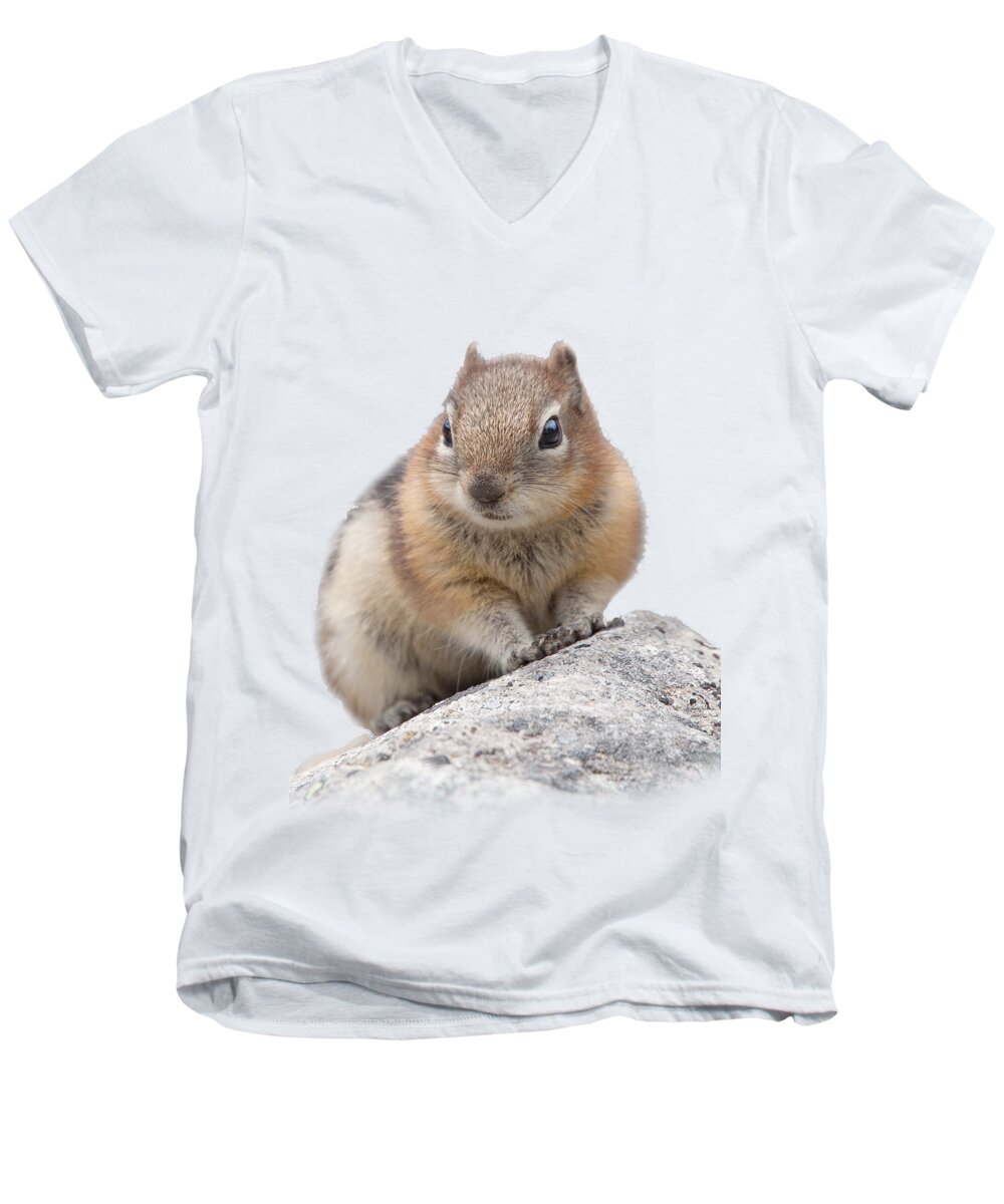 Ground Squirrel Men's V-Neck T-Shirt featuring the photograph Ground Squirrel T-shirt by Tony Mills