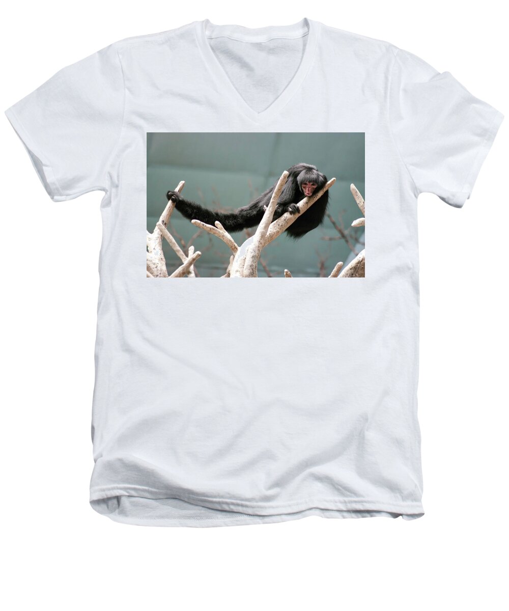 Photography Men's V-Neck T-Shirt featuring the photograph Hanging Loose by Kathleen Messmer