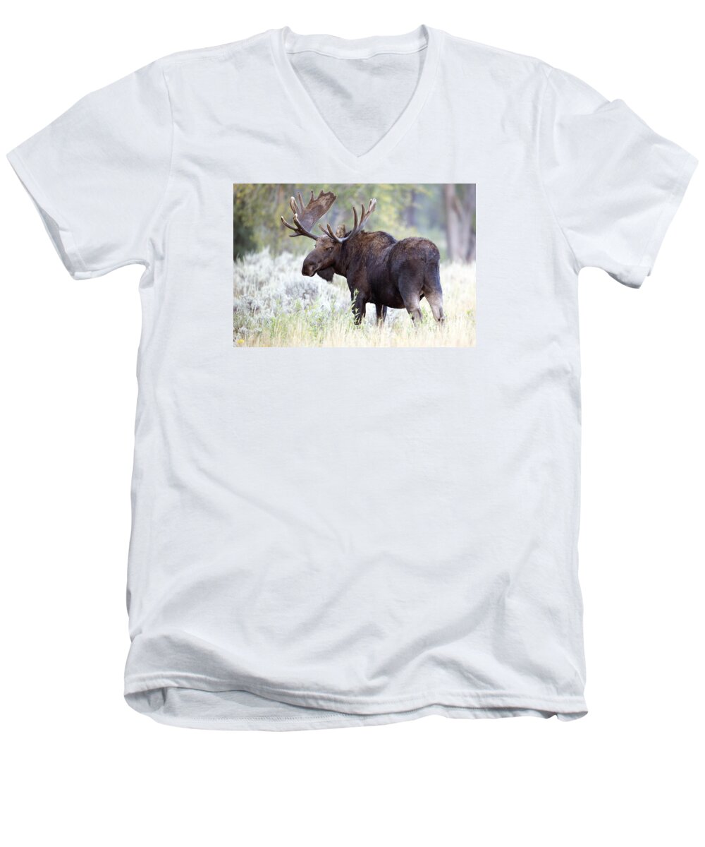 Bull Moose Men's V-Neck T-Shirt featuring the photograph Here's Looking at you Kid by Deby Dixon