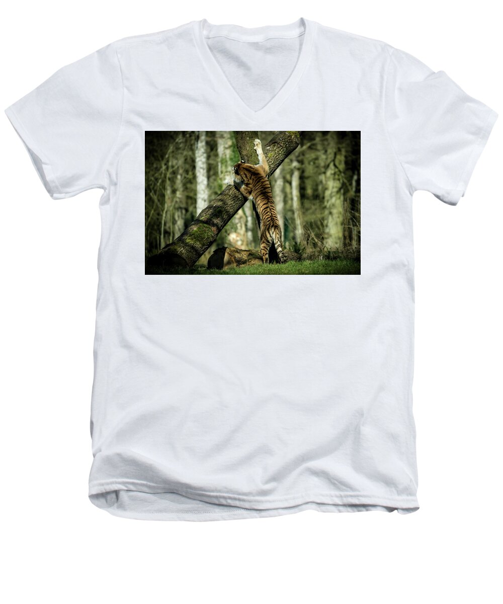 Tiger Men's V-Neck T-Shirt featuring the photograph Hide and Seek by Chris Boulton