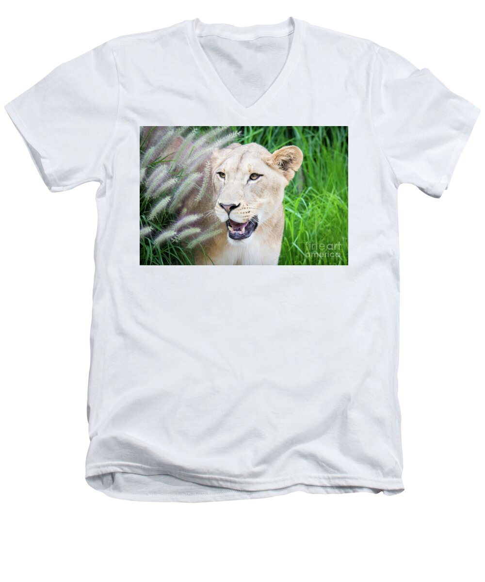 Female Lion Men's V-Neck T-Shirt featuring the photograph Hiding in Grass by Ed Taylor