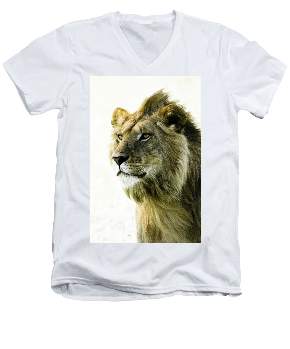 Lion Men's V-Neck T-Shirt featuring the photograph Intensity by Michele Burgess