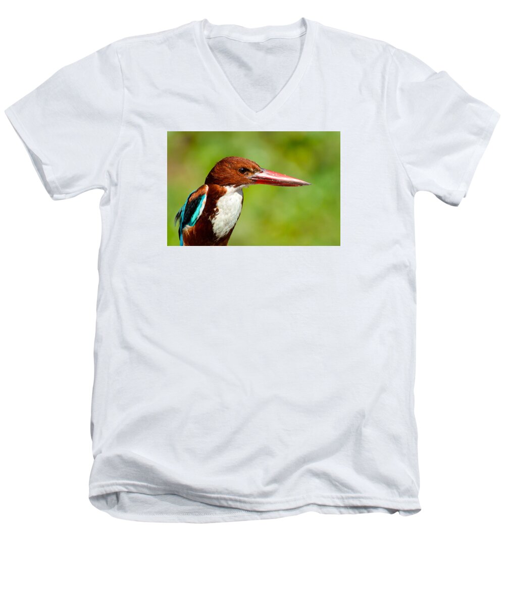 Kingfisher Men's V-Neck T-Shirt featuring the photograph Kingfisher_Portrait by Fotosas Photography
