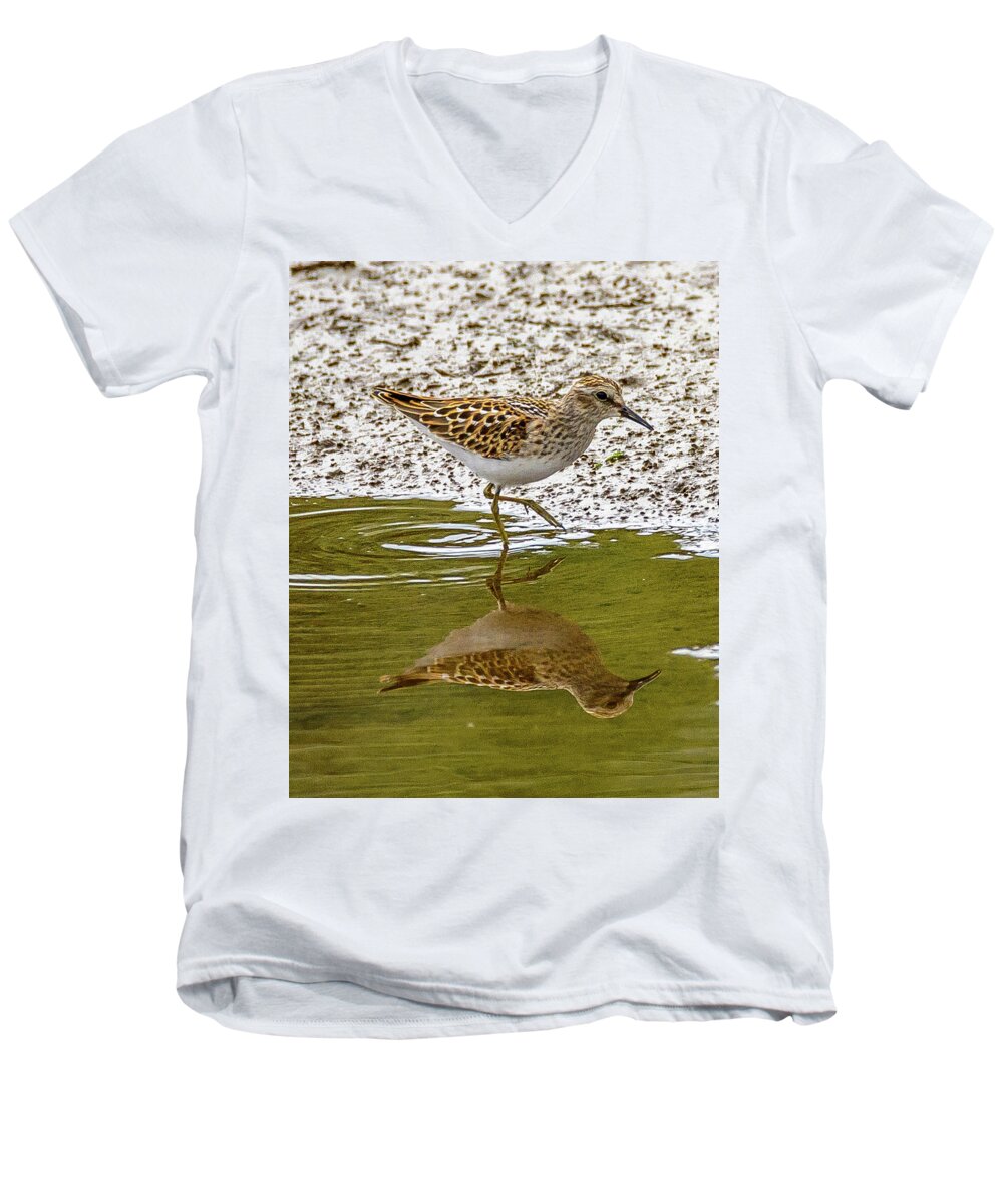 Sandpiper Men's V-Neck T-Shirt featuring the photograph Lest Sandpiper by Jerry Cahill