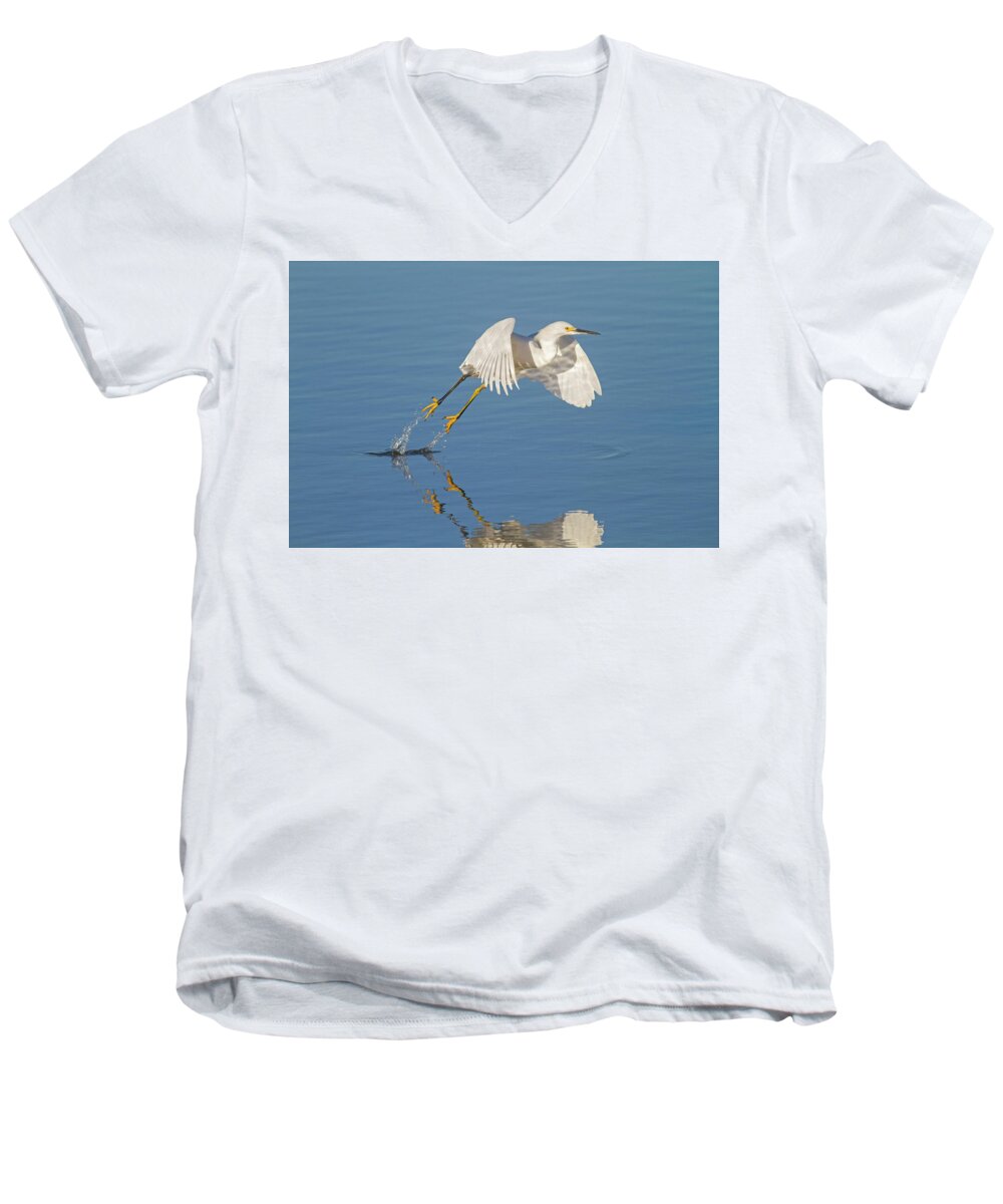 Egret Men's V-Neck T-Shirt featuring the photograph Lift Off- Snowy Egret by Mark Miller