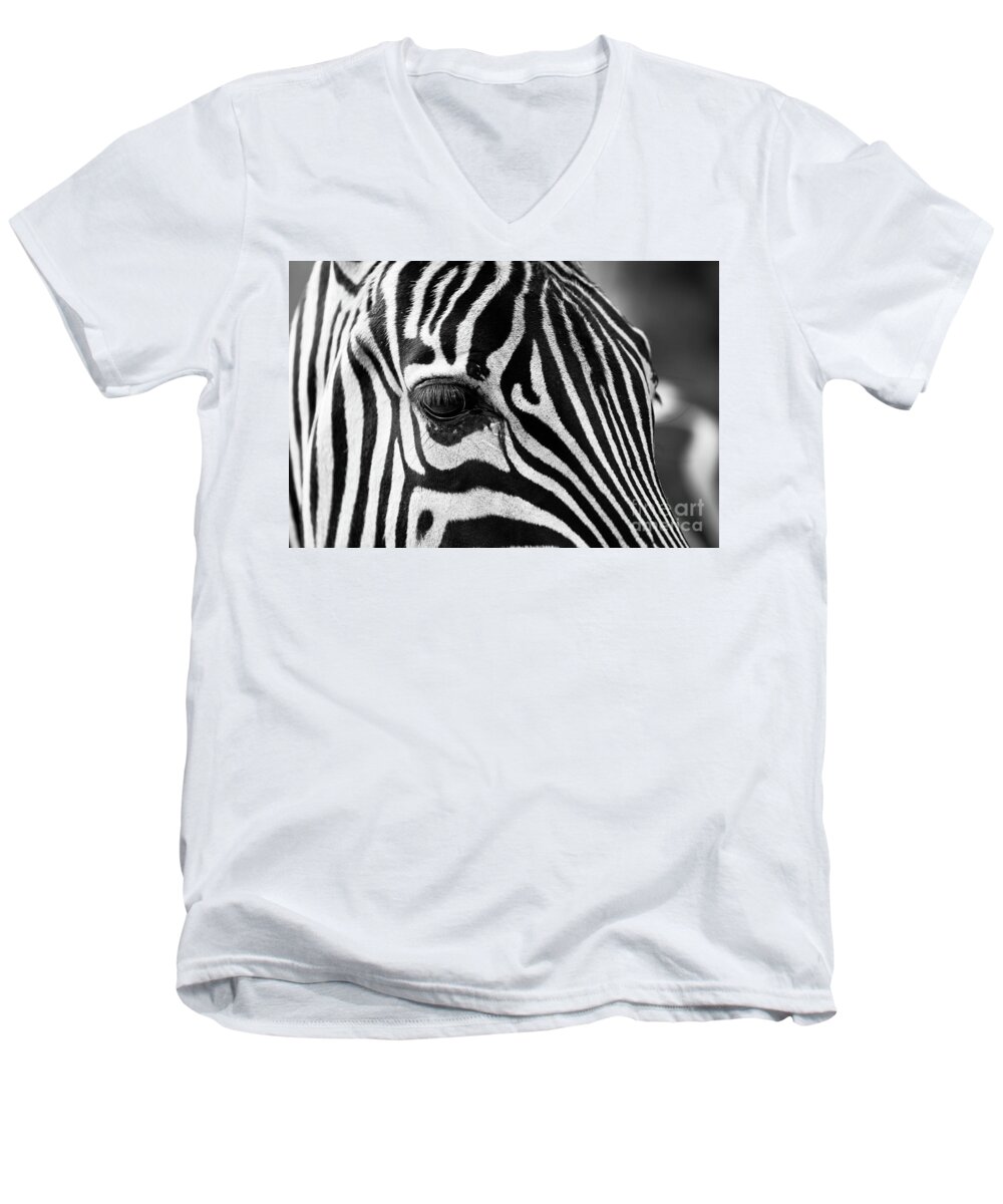 Zebra Men's V-Neck T-Shirt featuring the photograph Long Eyelashes by Alice Terrill