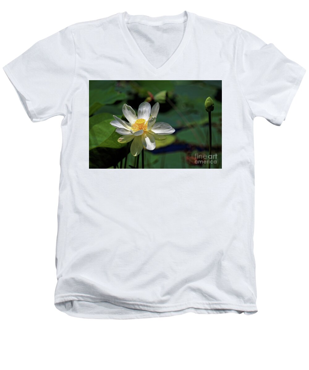 Lotus Men's V-Neck T-Shirt featuring the photograph Lotus Blossom by Paul Mashburn