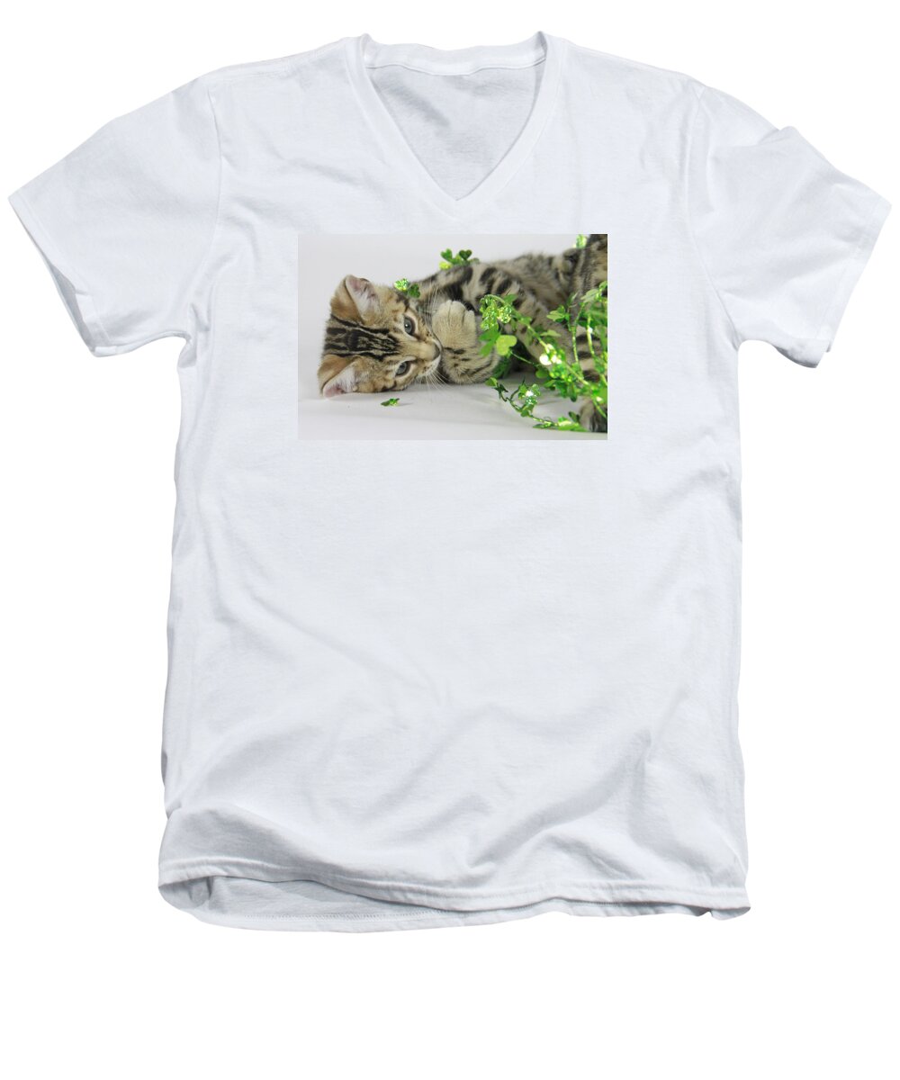 Bengal Men's V-Neck T-Shirt featuring the photograph Lucky Kitten by Shoal Hollingsworth