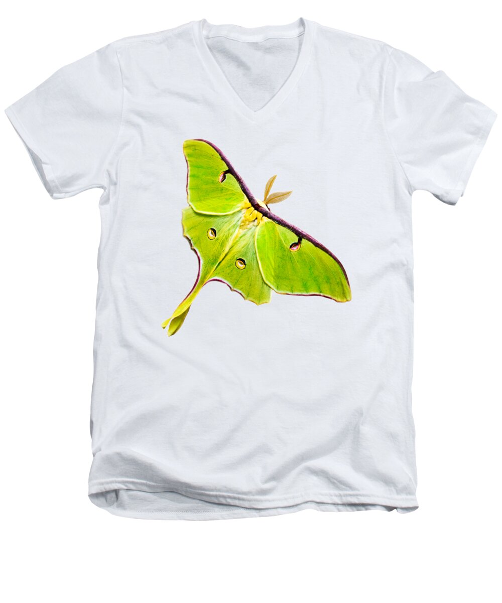 Luna Moth Men's V-Neck T-Shirt featuring the photograph Luna Moth by Christina Rollo