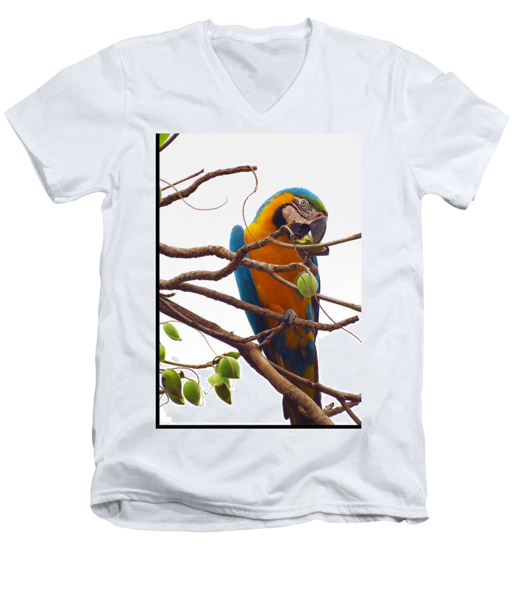 Macaw Men's V-Neck T-Shirt featuring the photograph Macaw by Metaphor Photo