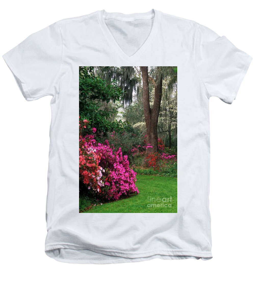 Azalea Men's V-Neck T-Shirt featuring the photograph Magnolia Plantation - FS000148a by Daniel Dempster