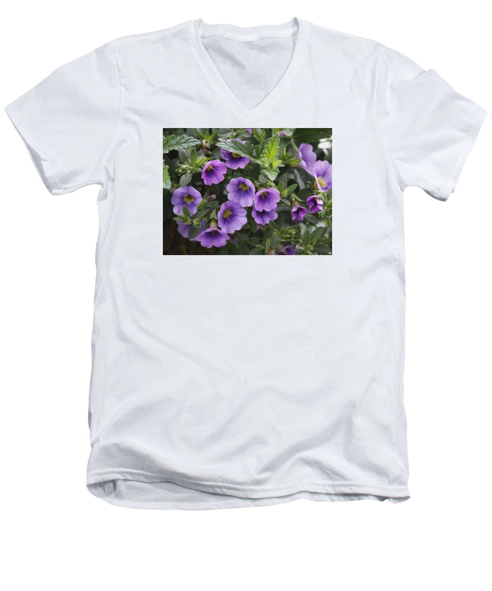 Mallow Men's V-Neck T-Shirt featuring the photograph Mallow by Larry Capra