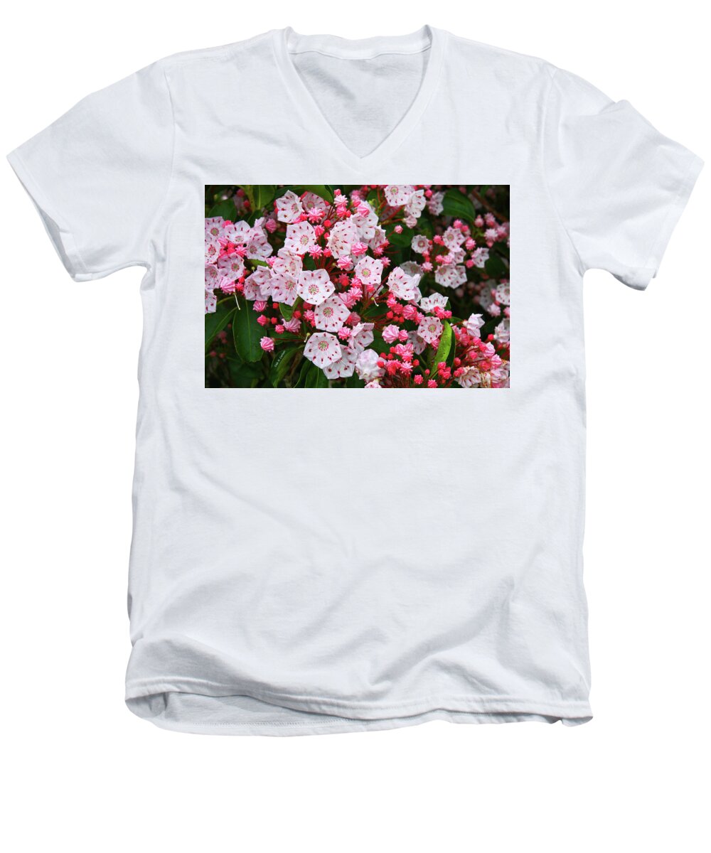 Mountain Laurels Men's V-Neck T-Shirt featuring the photograph Mountain Laurels by Dale R Carlson