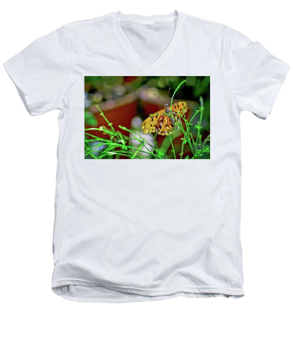 Abstract Men's V-Neck T-Shirt featuring the photograph Nature - Butterfly and Plants by Carlos Alkmin