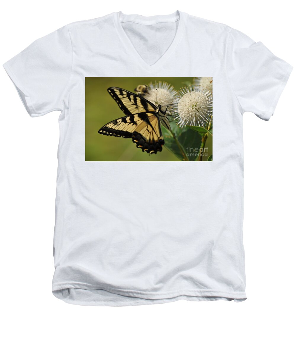 Bee Men's V-Neck T-Shirt featuring the photograph Natures Pin Cushion by Nona Kumah