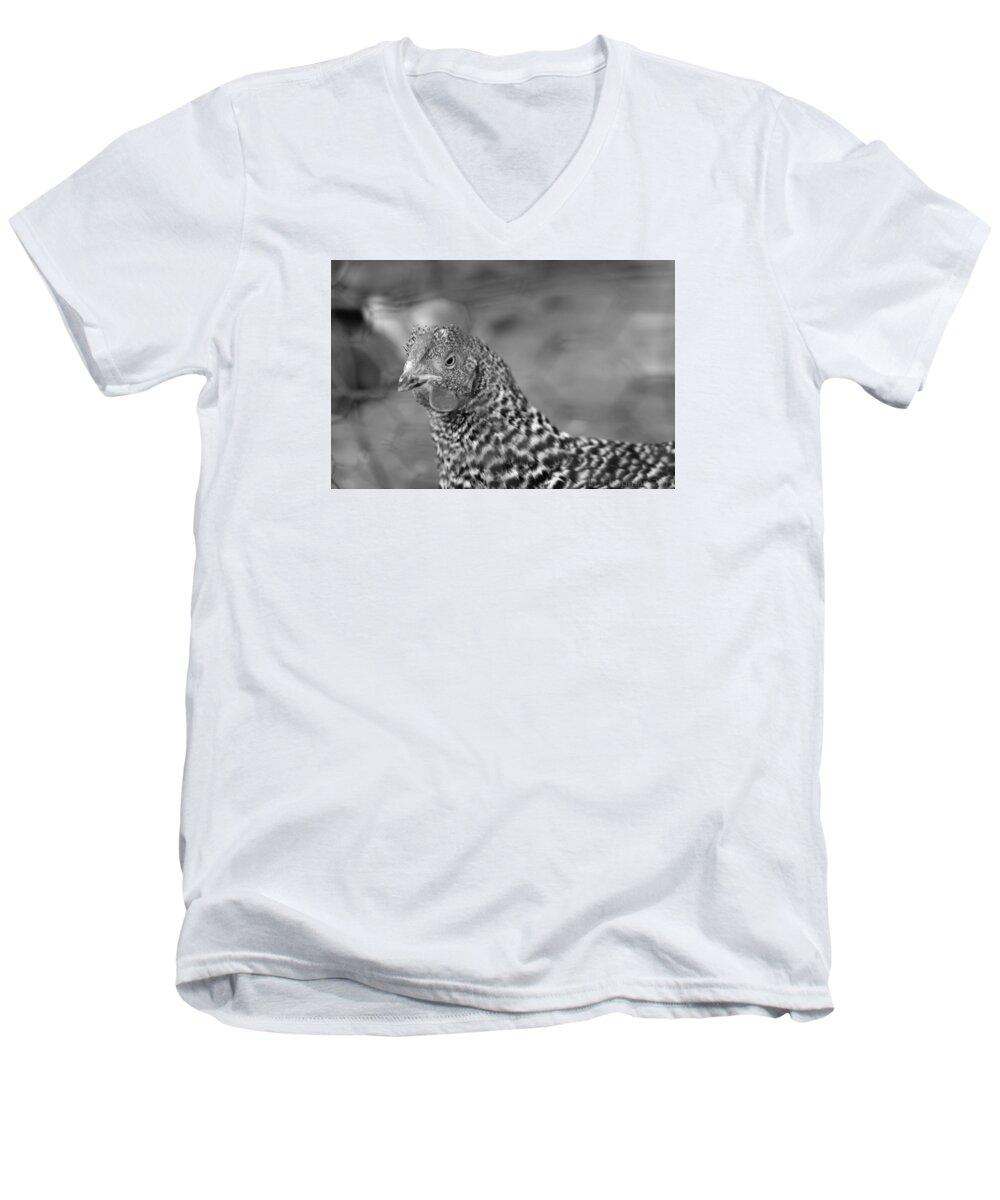 Bird Men's V-Neck T-Shirt featuring the photograph Not your chicken dinner by Lora Lee Chapman
