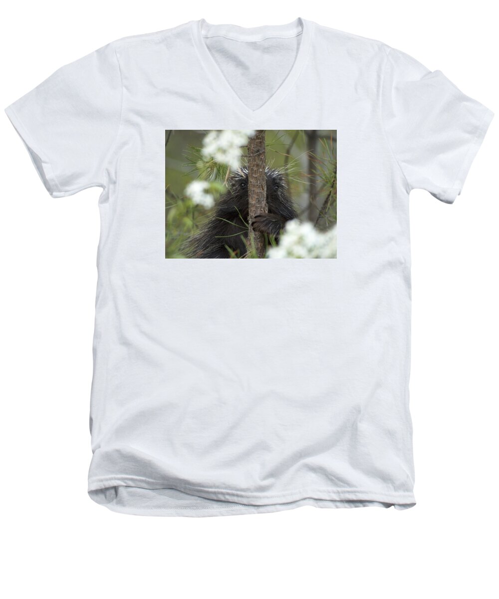 Kennebunk Plains Men's V-Neck T-Shirt featuring the photograph Nowhere to Hide by Ian Johnson