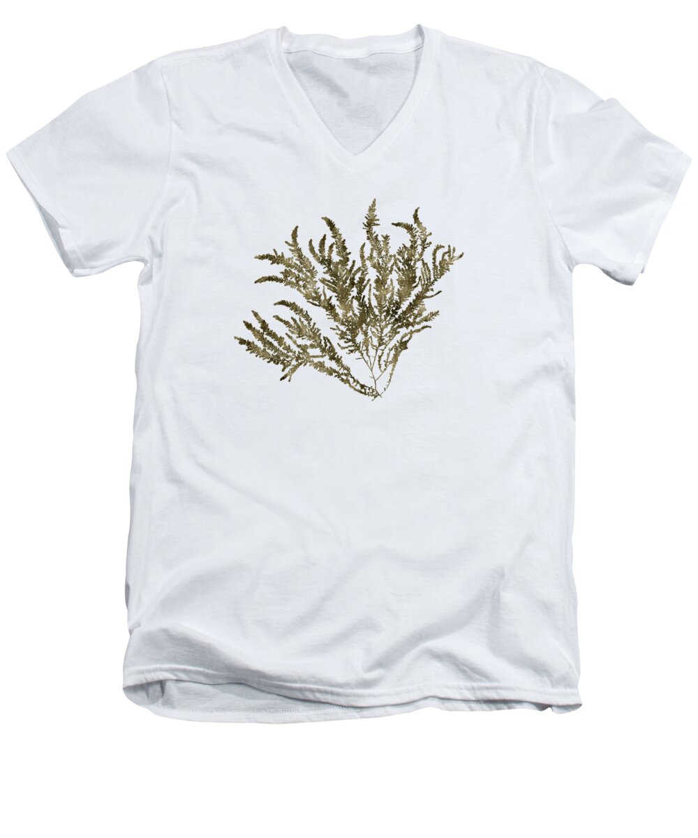 Seaweed Men's V-Neck T-Shirt featuring the mixed media Ocean Seaweed Plant Art Ptilota Sericea Square by Christina Rollo