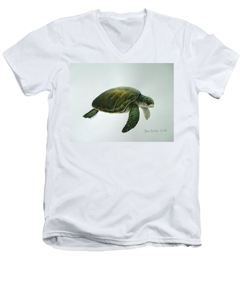 Olive Ridley Turtle Men's V-Neck T-Shirt featuring the painting Olive Ridley Turtle by Christopher Cox