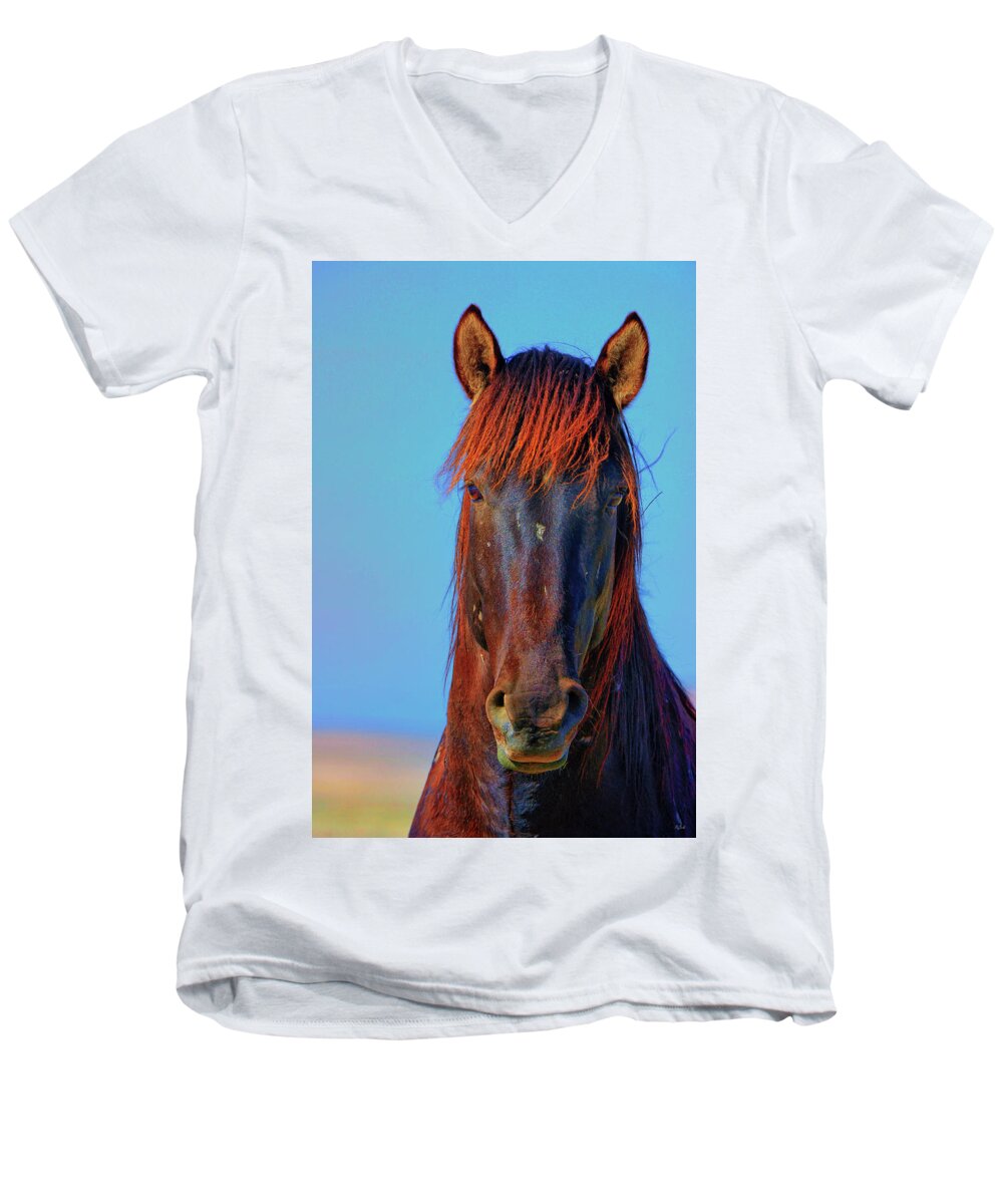 Horse Men's V-Neck T-Shirt featuring the photograph Onaqui Wild Stallion Portrait by Greg Norrell